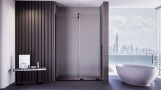 Душевая дверь Veconi Premium Trento PTDW-50B, 1500x2000, черный матовый, стекло прозрачное